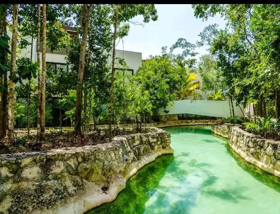 Your Prefecto Vacations! Fsking Playa del Carmen 0*,