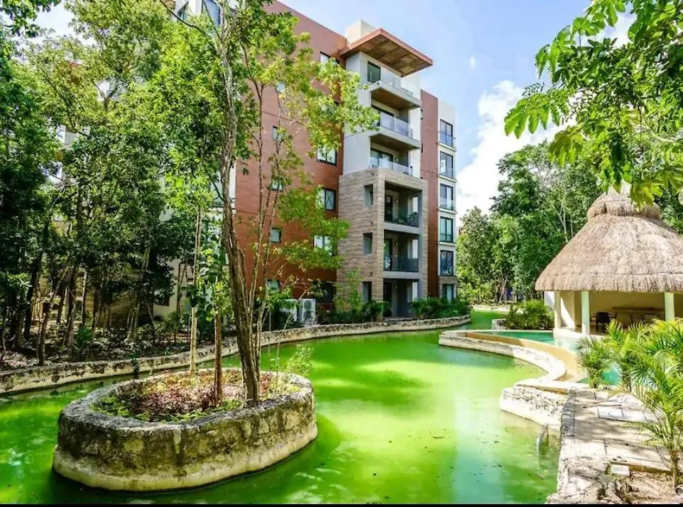 Your Prefecto Vacations! Fsking Playa del Carmen Apartamento